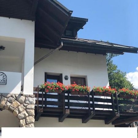 La Casa Di Monte Ricco Lejlighed Pieve di Cadore Eksteriør billede