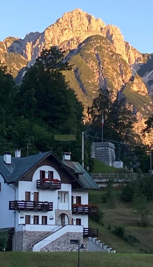 La Casa Di Monte Ricco Lejlighed Pieve di Cadore Eksteriør billede