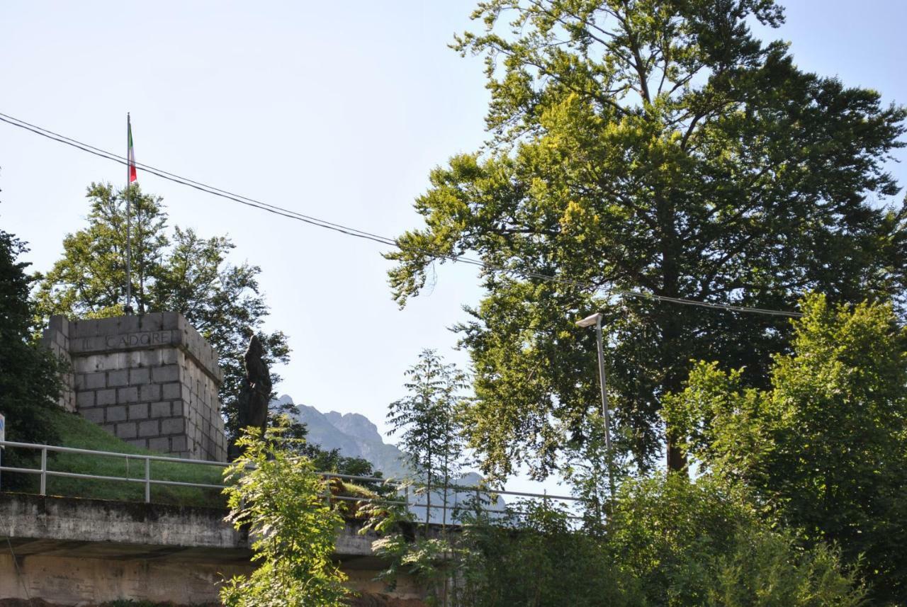 La Casa Di Monte Ricco Lejlighed Pieve di Cadore Eksteriør billede