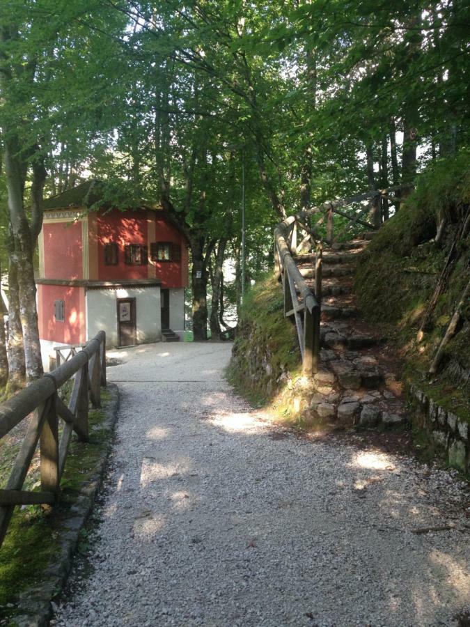 La Casa Di Monte Ricco Lejlighed Pieve di Cadore Eksteriør billede