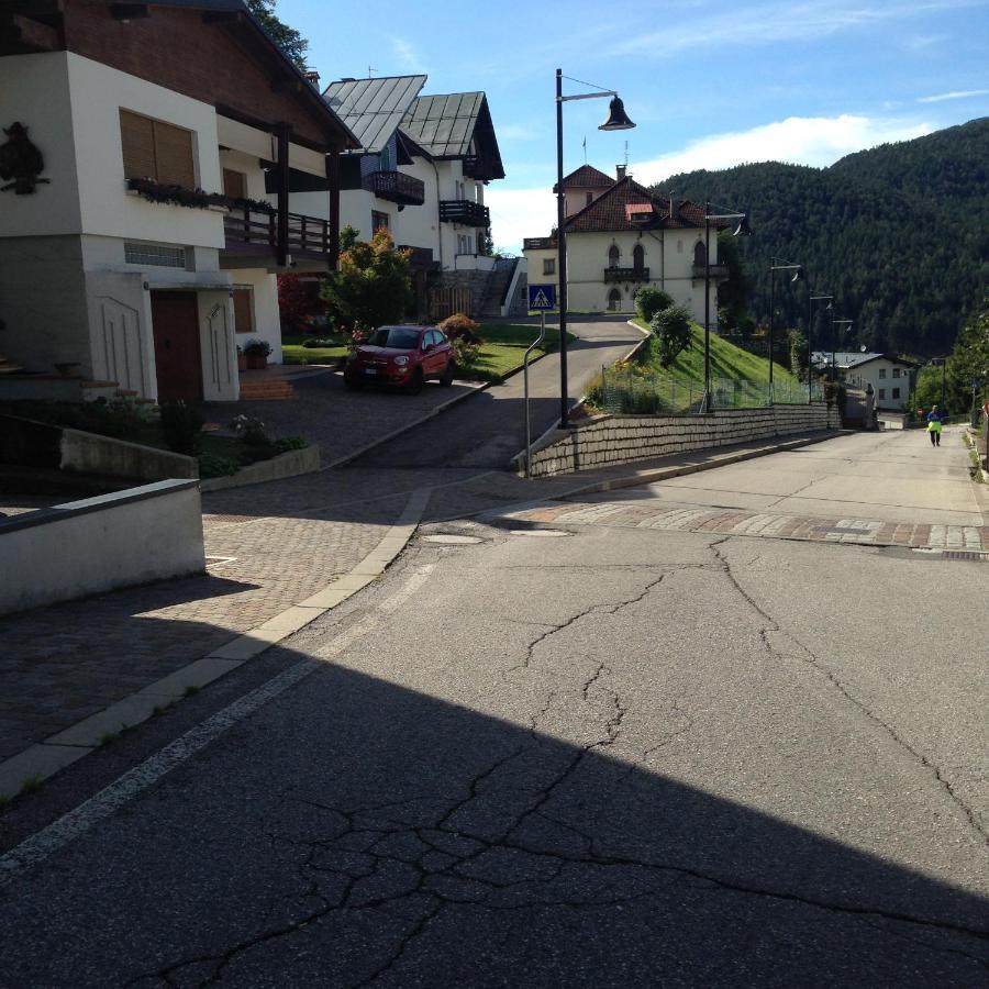 La Casa Di Monte Ricco Lejlighed Pieve di Cadore Eksteriør billede